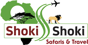Logo Shoki Shoki