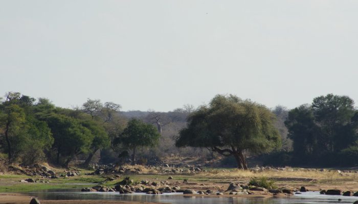 ruaha2